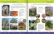 LCN Selections New Plant Catalog