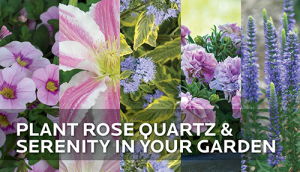 2e1ax_default_entry_HGTV-HOME-Plants-Pantone-Colors-in-the-Garden